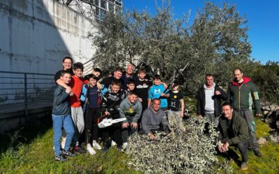Školski maslinik postao učionica na otvorenom: Mladi maslinari učili rezidbu uz našeg doc. dr. sc. Šimu Marcelića, doktora za masline